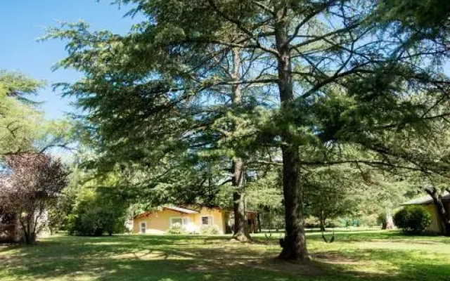 Cabañas del Arroyo