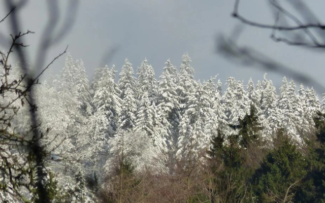 Haus Wald-Eck