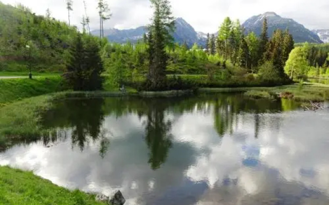 Strbske Pleso Smrek Penthouse Apartment