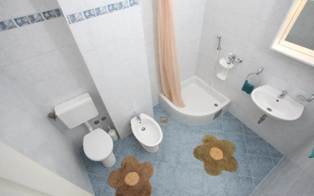 Apartment Mileta