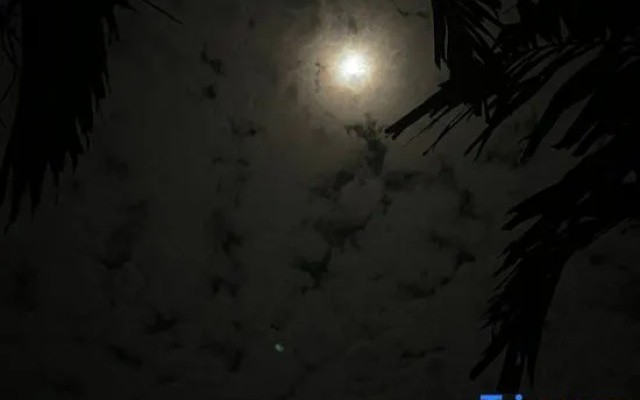 The Firefly Resort Semporna