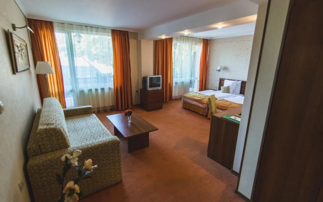 SPA Hotel Borova Gora