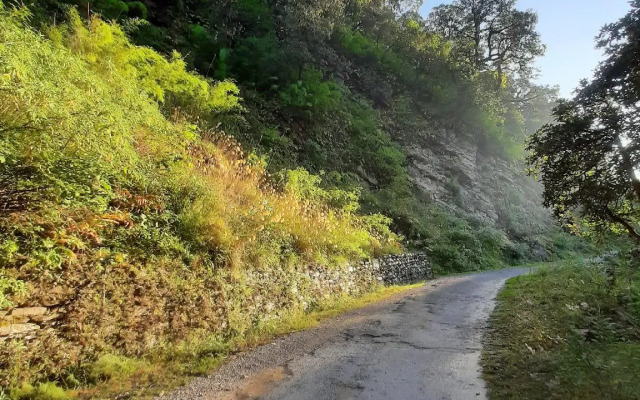 Janardan Resort Pangot