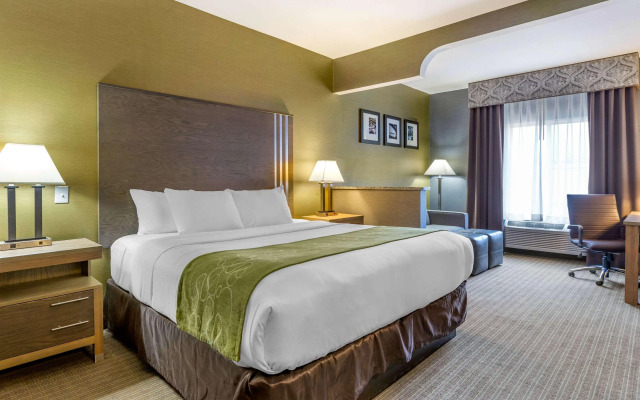 Comfort Suites Southgate-Detroit