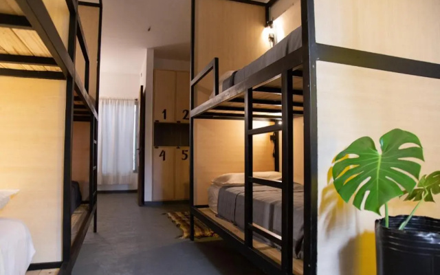 Hostel Cha