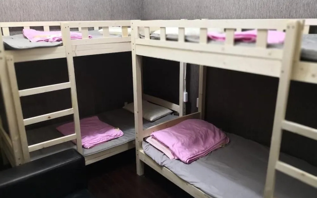 Best Cat Hostel