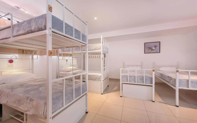 Hostel Del Paseo