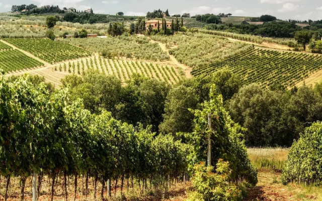 Chianti Wine Site Apt Private Balcony