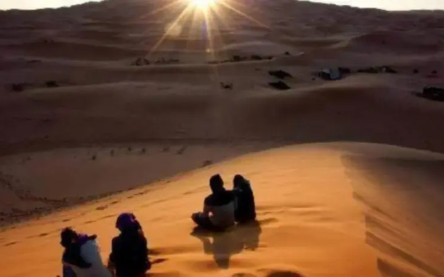 Desert Pearl Camp