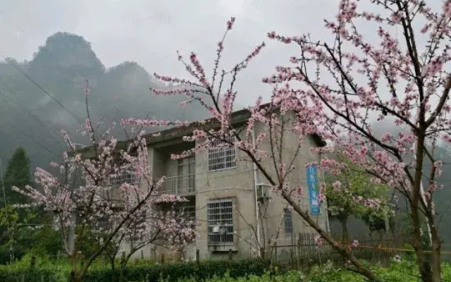 Natural Renjia Inn