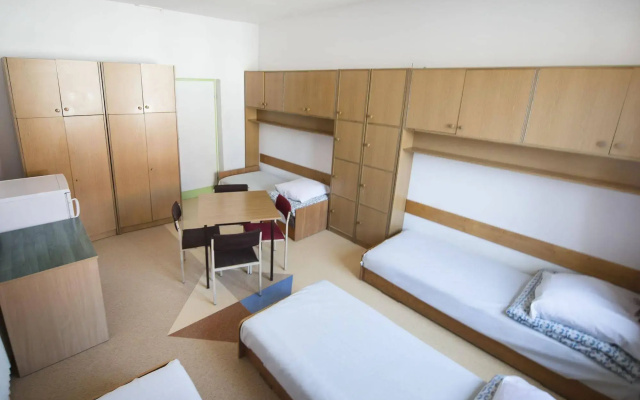 Dizzy Daisy Hostel