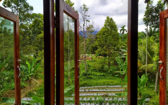 Sumatra Orangutan Discovery Villa