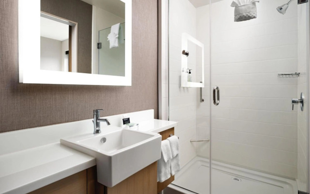 SpringHill Suites by Marriott Milpitas Silicon Valley