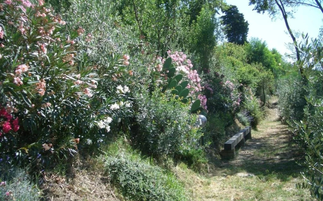 Gli Oleandri