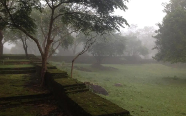 Primate Centre