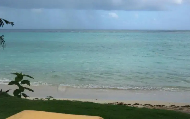 Eden Sands