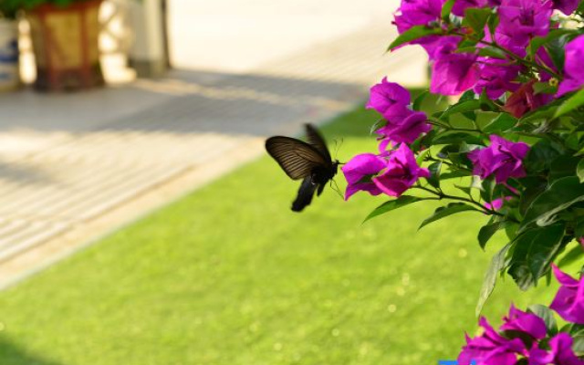 Jinyun Shixiangjia Homestay (Xiandu Scenic Area)