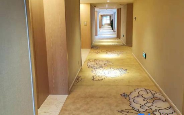 Vienna International Hotel (Jurong Huayang)