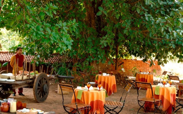 Mahua Kothi, A Taj Safari - Bandhavgarh National Park
