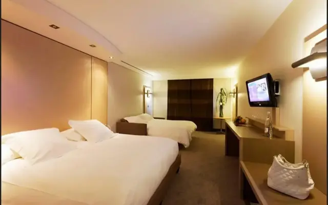 Hôtel Lyon Métropole & Spa