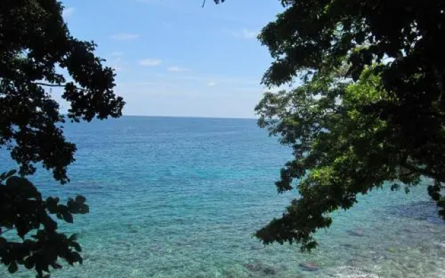 Treetop Guesthouse and Bungalows