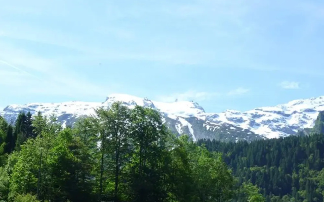 Sattelboden 4 Engelberg