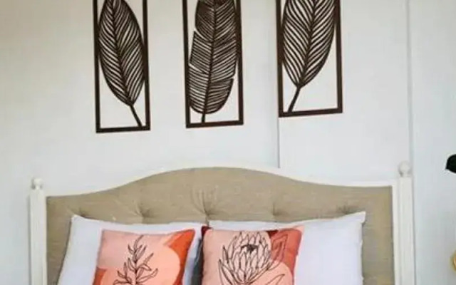 Salvia Butik Sogut