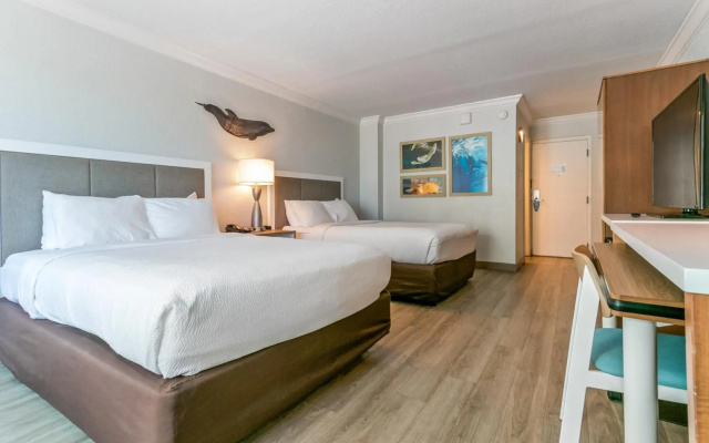 Dolphin Sands Clearwater Beach, an Ascend Collection Hotel