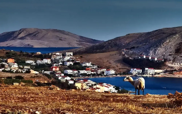 Quaint Holiday Home in Metajna With Terrace