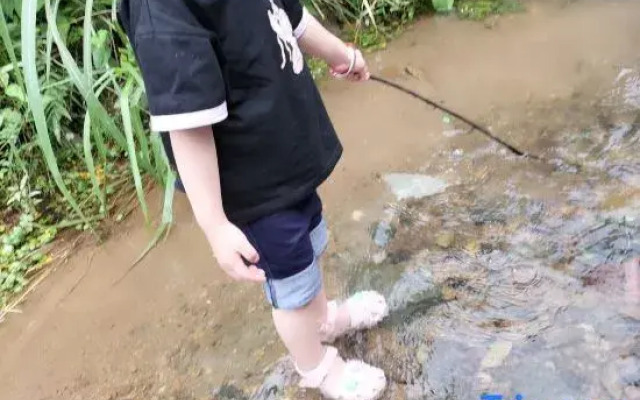 Yunshangmishe