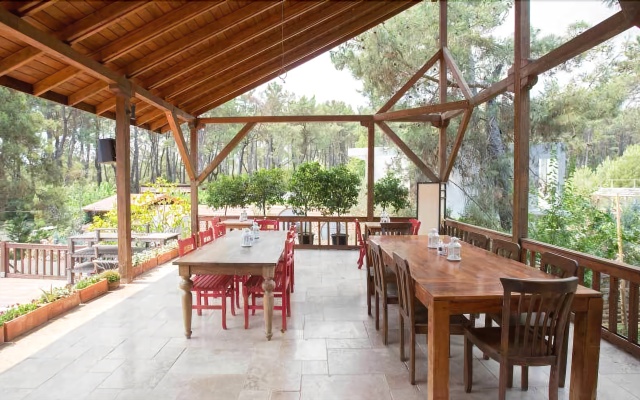 Olympos Village Ecologic Activity Hotel Кемер вид на фасад