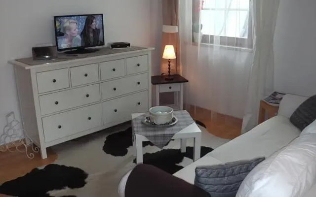 Appartement Harrer Zell am See