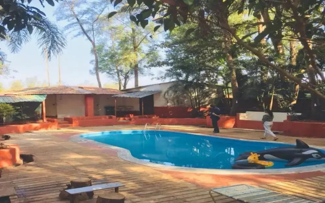 The Jungle Resort