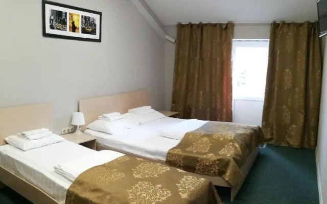 Hotel Berison Moskovskaya