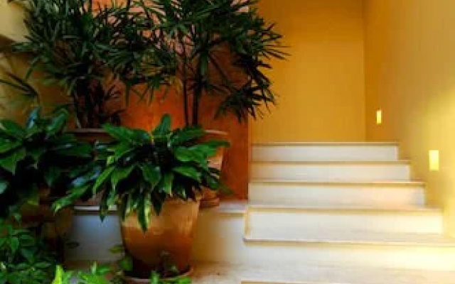Casa del Campo Punta Mita