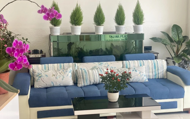 Tuong Vy Dalat Central