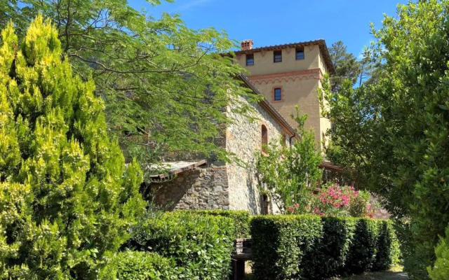 House Daino Riparbella 36261
