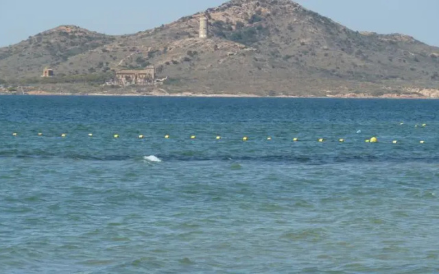 Punta Galán