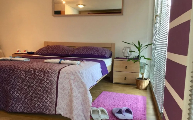 Hostel Lega House