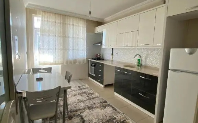vatan suit