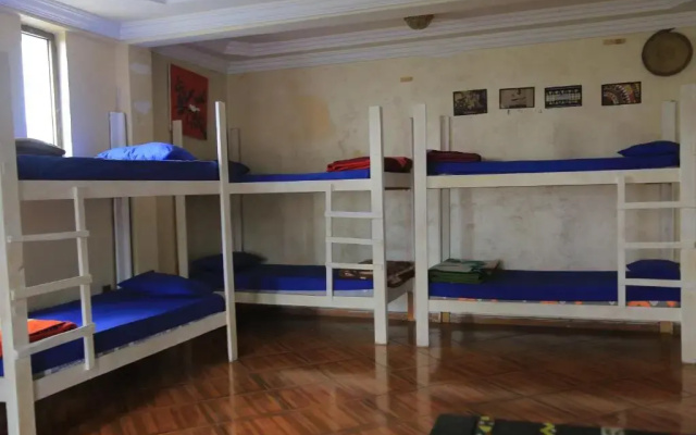 Mad Vervet Hostel