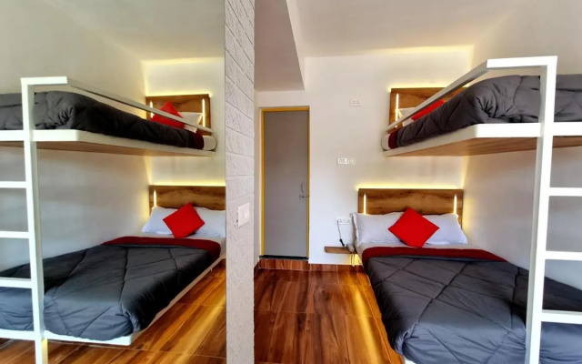Stay inn nest