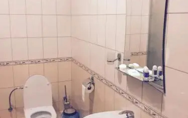 Hotel Blyznytsi