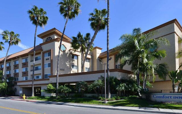 Comfort Inn Suites San Diego Zoo Seaworld Area In San Diego