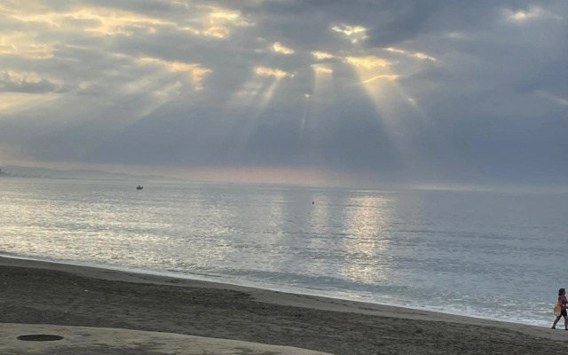 El Lobo de Mar Estepona