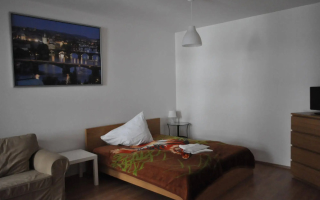 Bright spacious apartment
