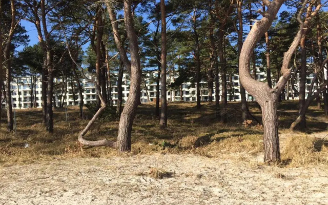 Strandresidenz Appartement Basstölpe A22
