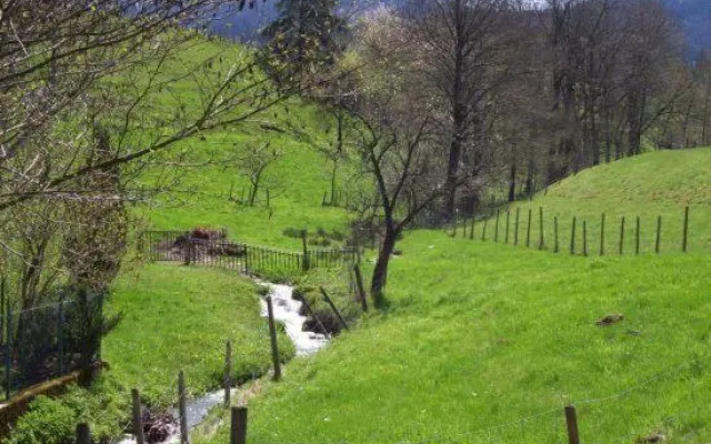 Elzachferien