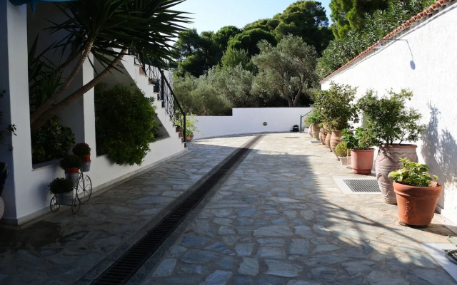 Nina's House