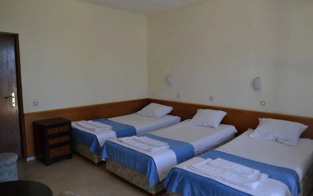 Vila Aleksandar